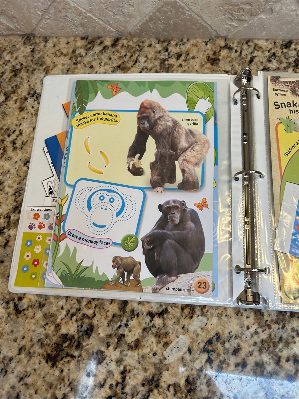 National Geographic Sticker Book - Picture 4 of 16